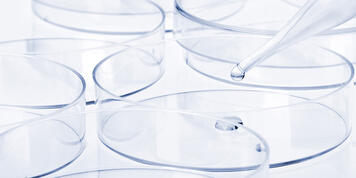 ProJect Pharmaceutics